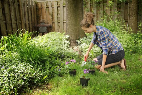Person using a screen reader interface while viewing gardening content.