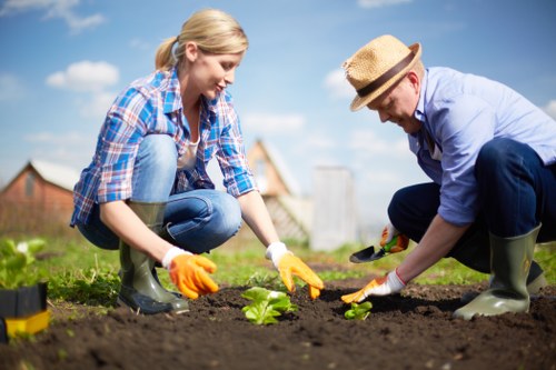 Accessible gardening information displayed on a tablet with large text and clear layout.